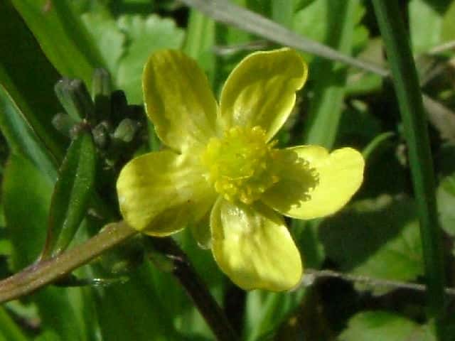 �L�c�l�m�{�^��