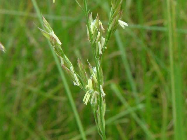 �I�j�E�V�m�P�O�T