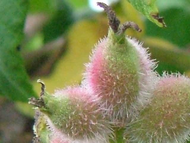 �I�j�O���~