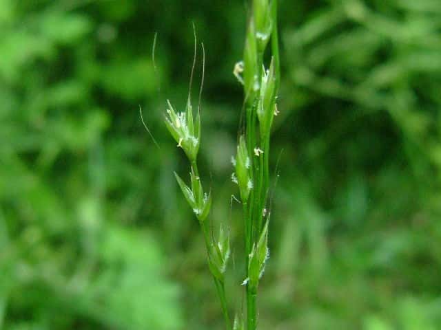 �g�{�V�K��