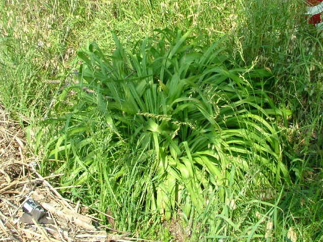 ���u�J���]�E