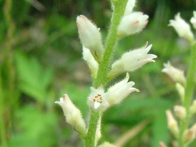 �\�N�V������