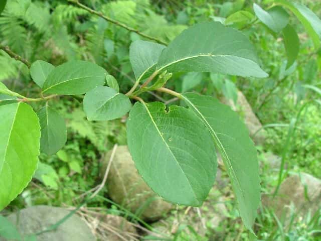 ���}���i�M