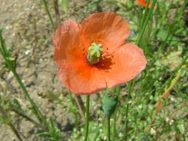 �i�K�~�q�i�Q�V