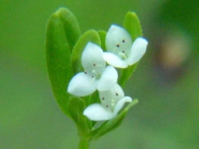 �z�\�o�m���c�o���O��