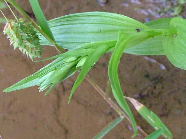 �J�L����