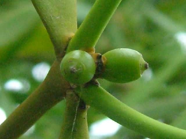 ���h���M