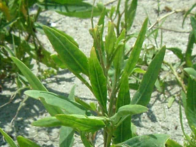 �z�\�o�n�}�A�J�U