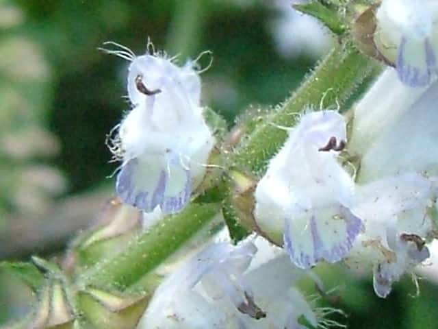 �A�L�m�^�����\�E"