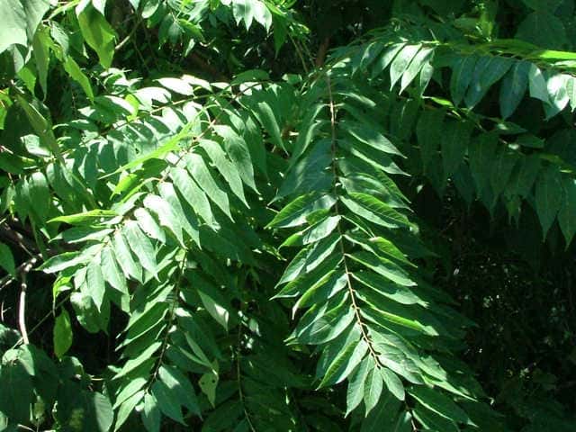 �j���E���V