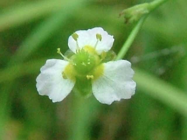 �w���I���_�J