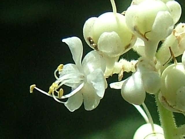 ���u�~���E�K