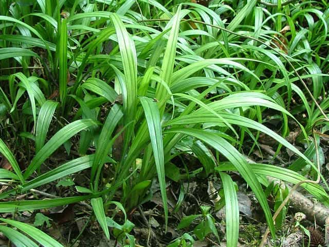 �L�`�W���E�\�E