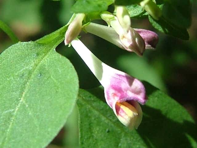 �~���}�}�}�R�i