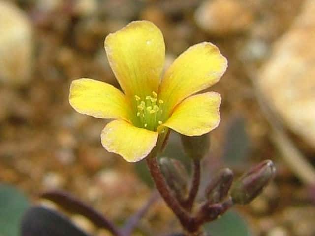 �A�J�J�^�o�~