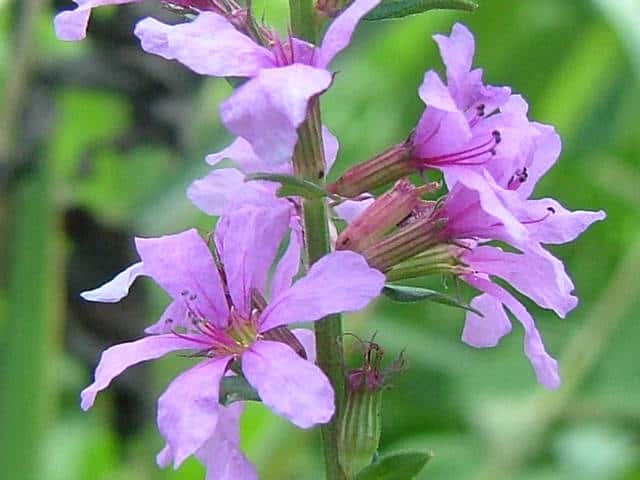 ���~�\�n�M