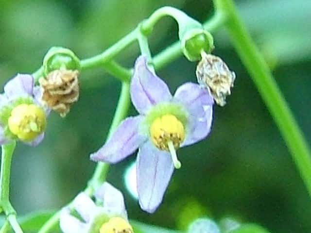 �}���o�m�z���V