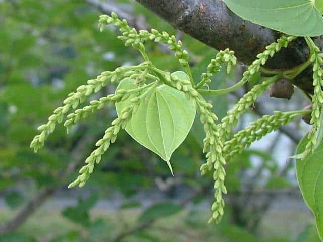 �j�K�J�V���E