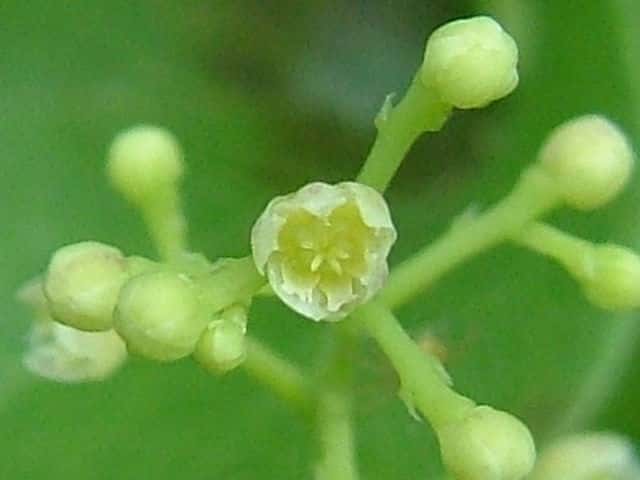 �A�I�c�d���t�W