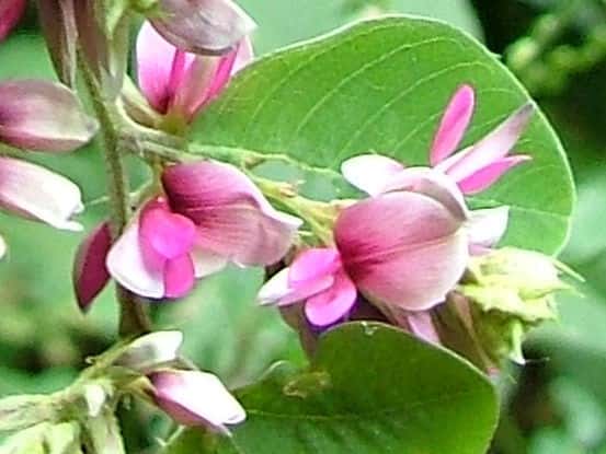 �r�b�`���E���}�n�M