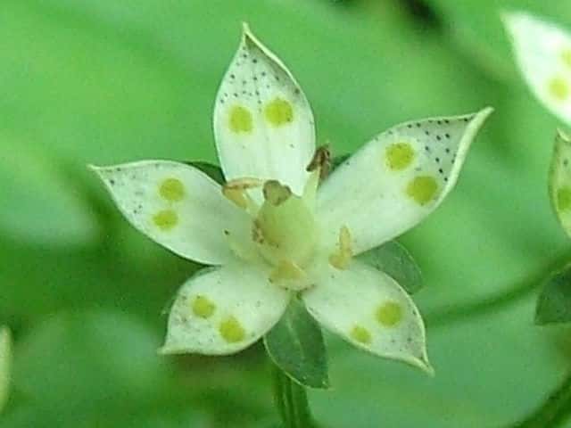 �A�P�{�m�\�E