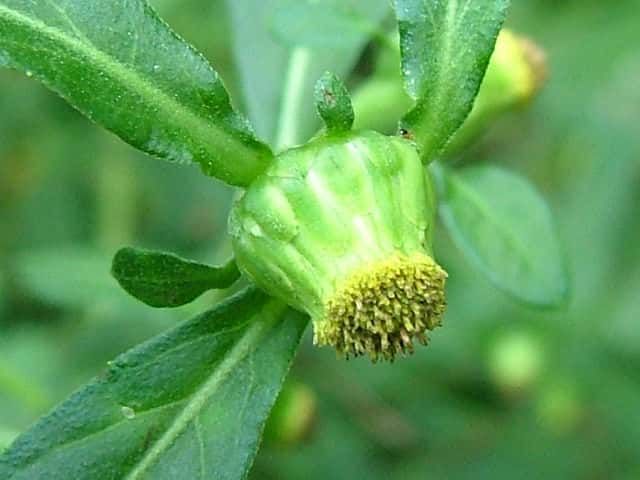 �K���N�r�\�E