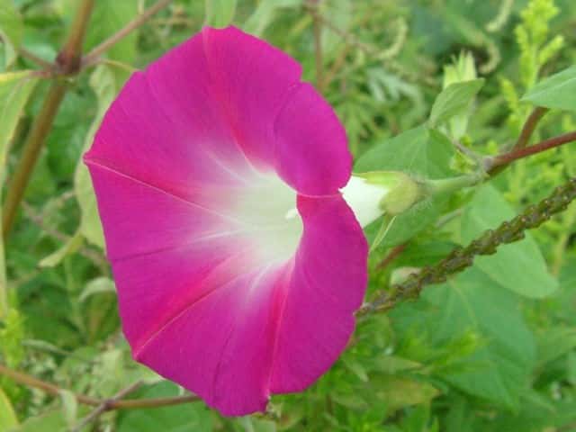 �}���o�A�T�K�I