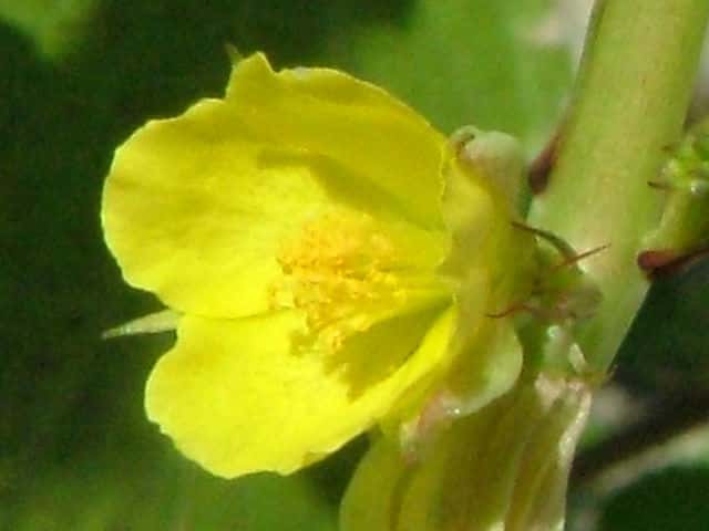 �^�C�����c�i�\