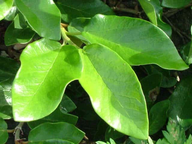 �I�I�C�^�r