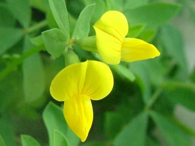 �~���R�O�T