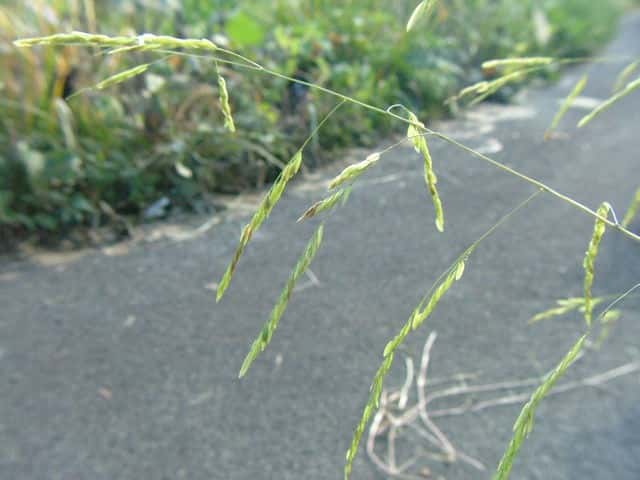 �T���k�J�O�T