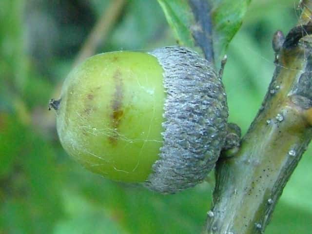 �i���K�V��