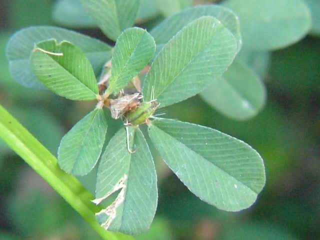 ���n�Y�\�E