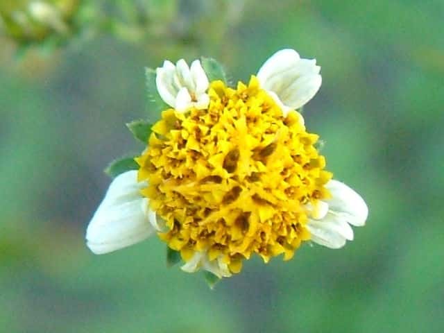 �A�C�m�R�Z���_���O�T