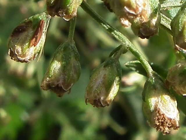 �C�������M