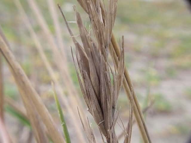 �n�}�j���j�N