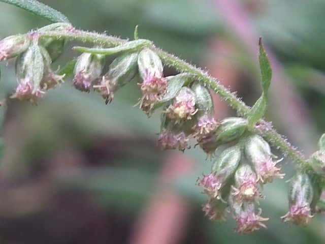 �����M��