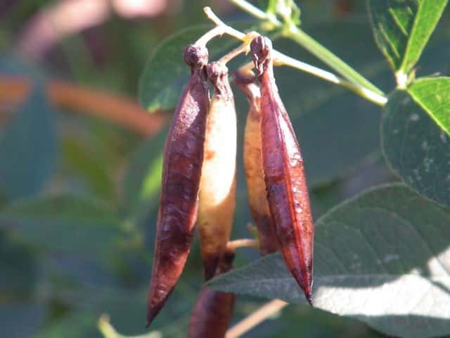 �i���e���n�M