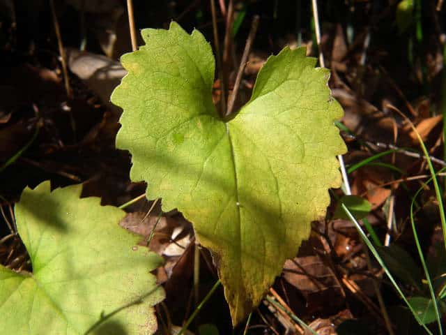 �V�����}�M�N