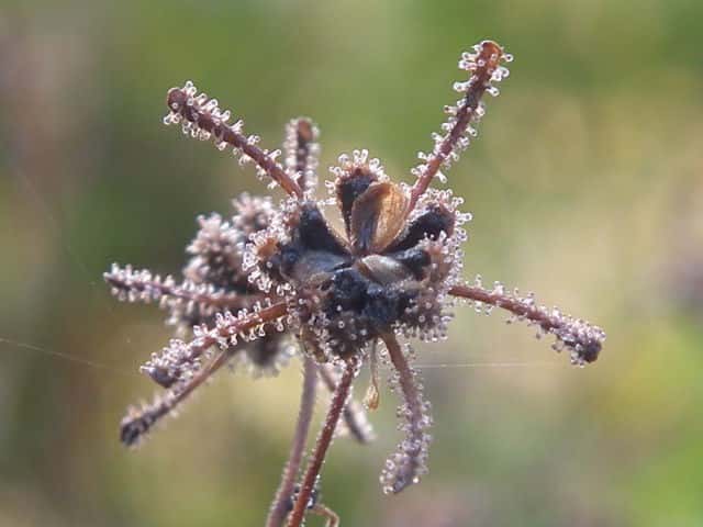 �R���i���~