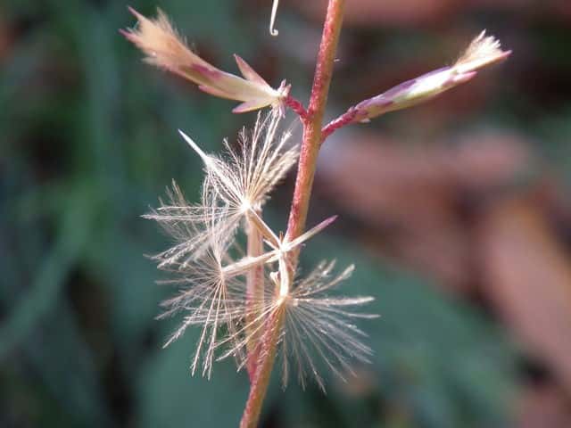 �L�b�R�E�n�O�}