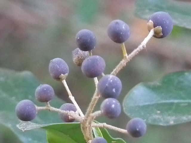 �R�~�m�l�Y�~���`