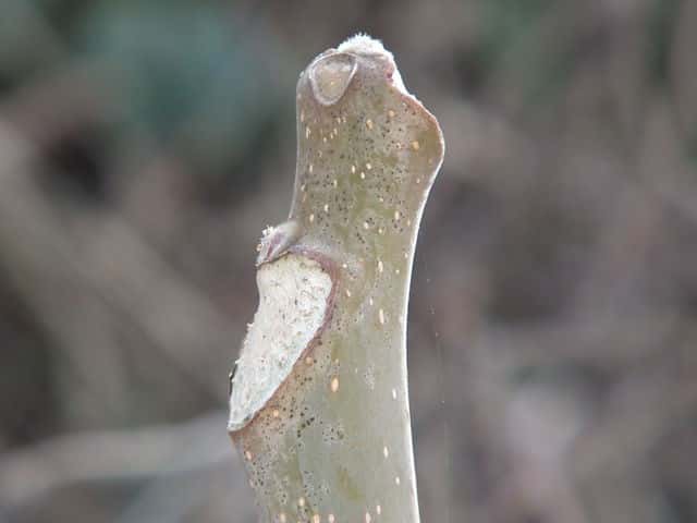 �j���E���V