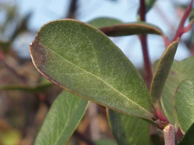 �g�L���T���U�V