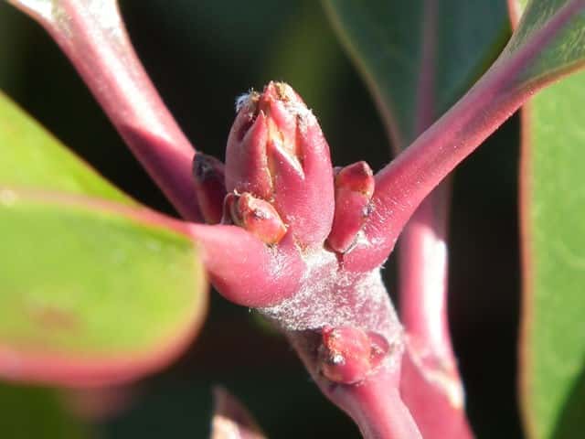 �V�������o�C