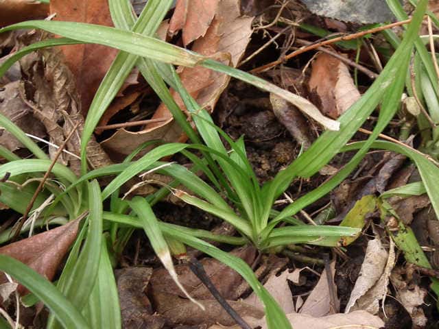 �L�`�W���E�\�E