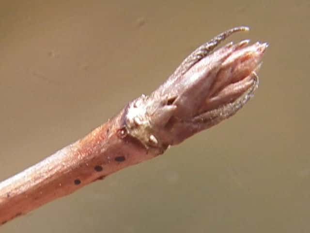 �^�j�E�c�M