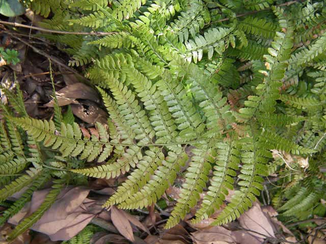 �z�\�o�J�i�����r