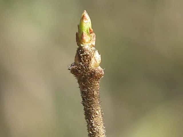 �R�~�m�l�Y�~���`