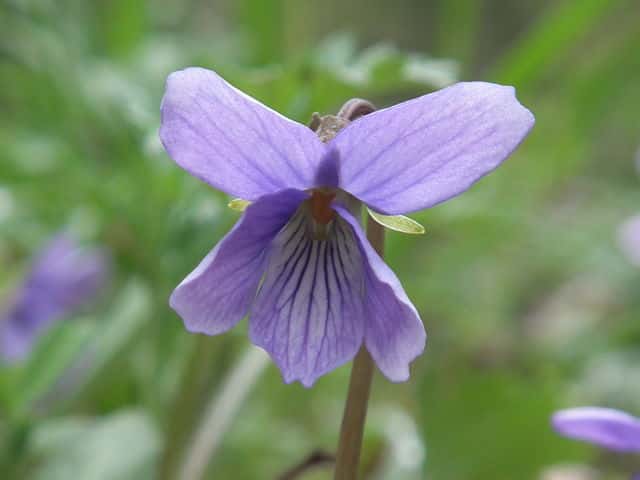 �q�Q�R�X�~��